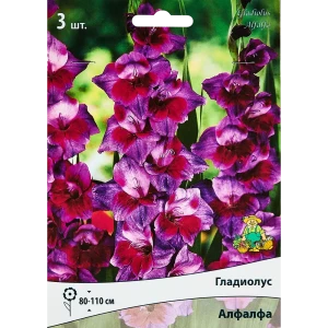 Гладиолус крупноцветковый Алфалфа, 3 шт. 89351779 STLM-2120246