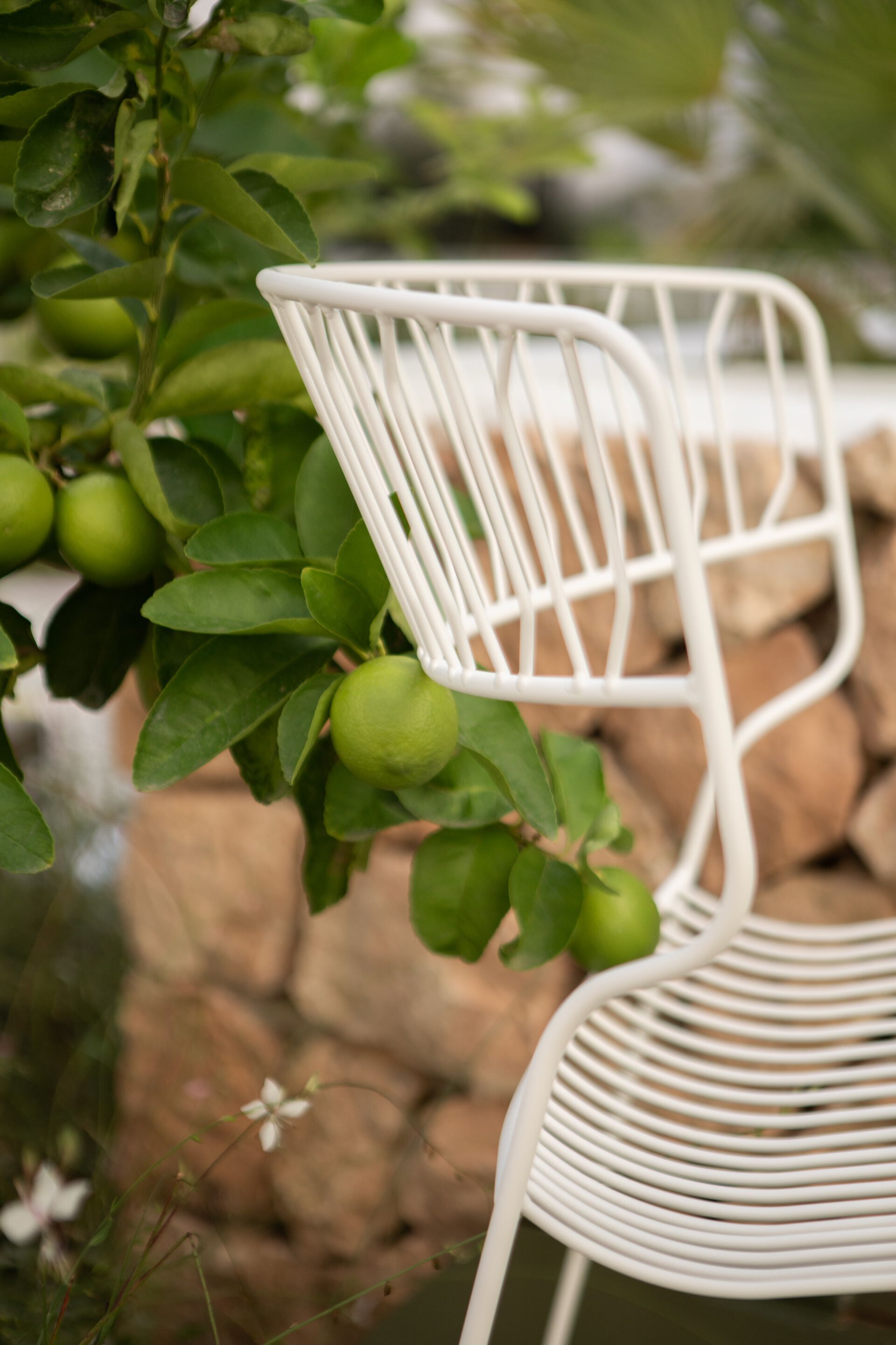 Штабелируемый садовый стул с порошковым покрытием iSimar Мартини ARCH-00062898 - Вид №10