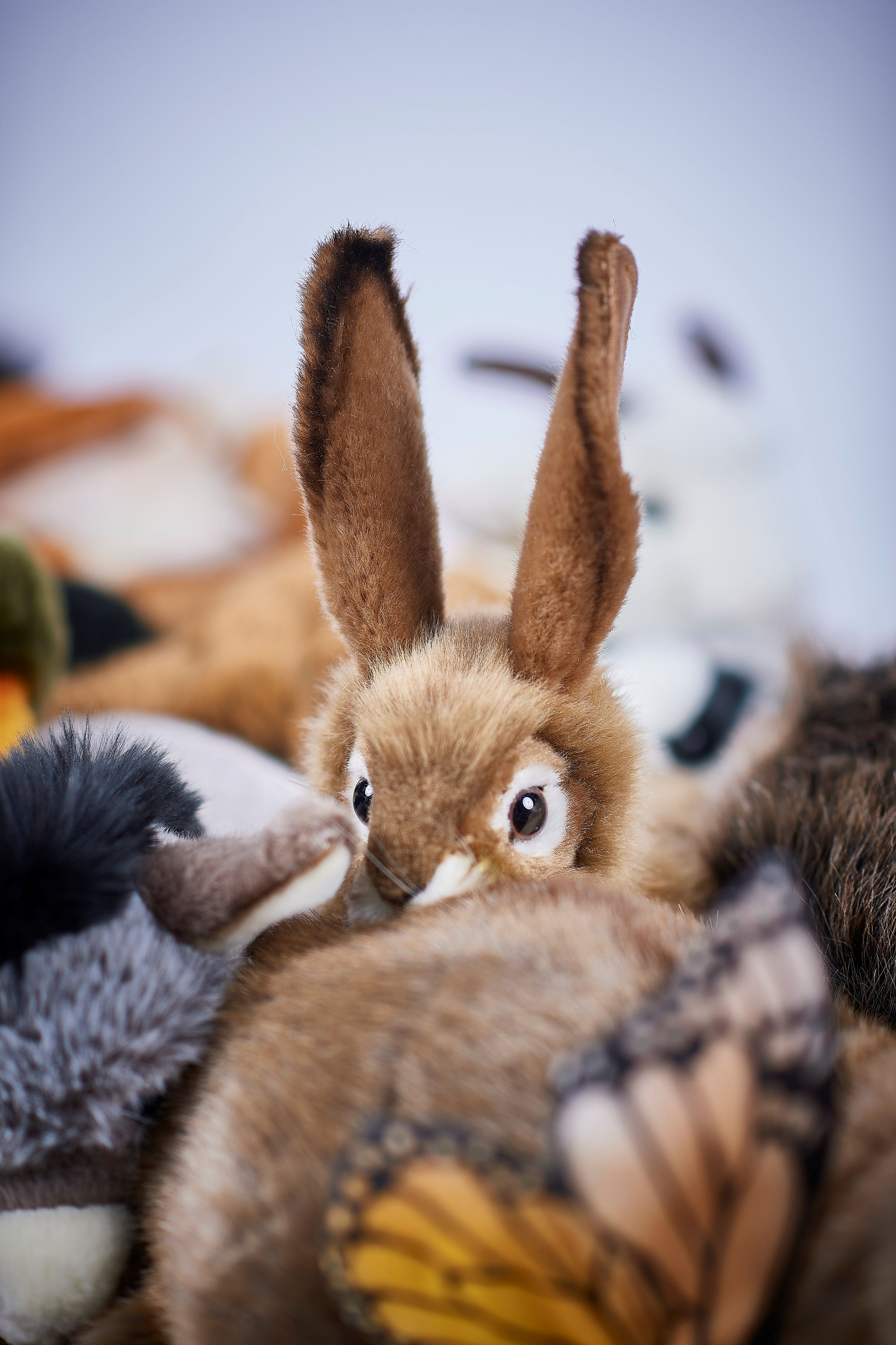 Мягкая скамейка из полиэстера APCOLLECTION Alpin ARCH-00028004 - Вид №7