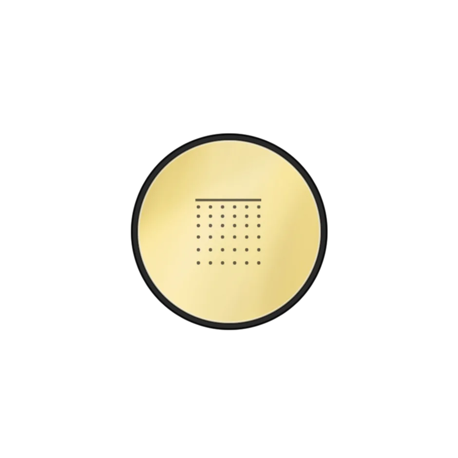 SP04254 246 Gessi Hi-fi ЗОЛОТОЙ PVD SP04254246
