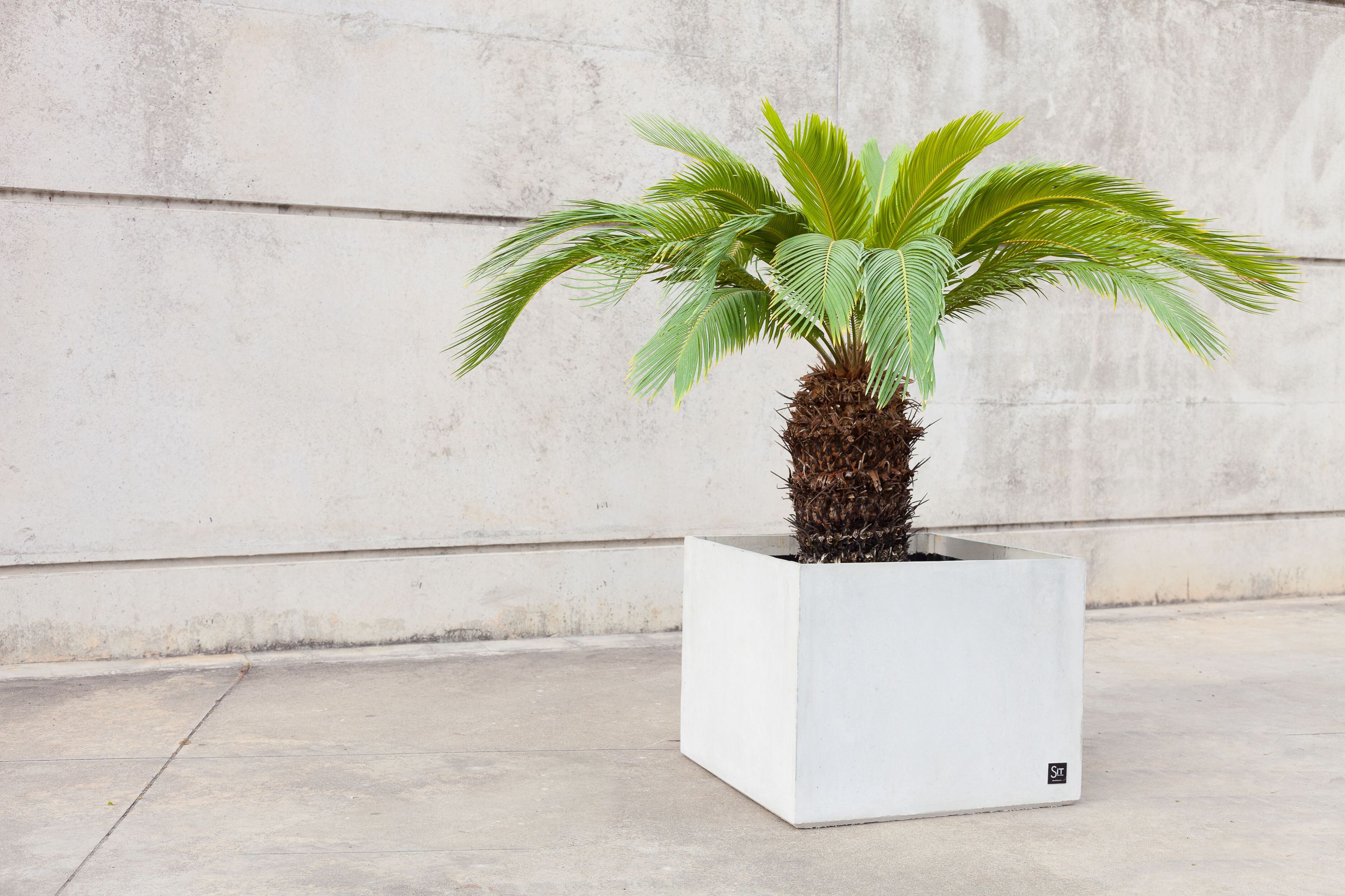 Квадратный плантатор из армированного волокном бетона SIT Cubic ARCH-00079442 - Вид №16