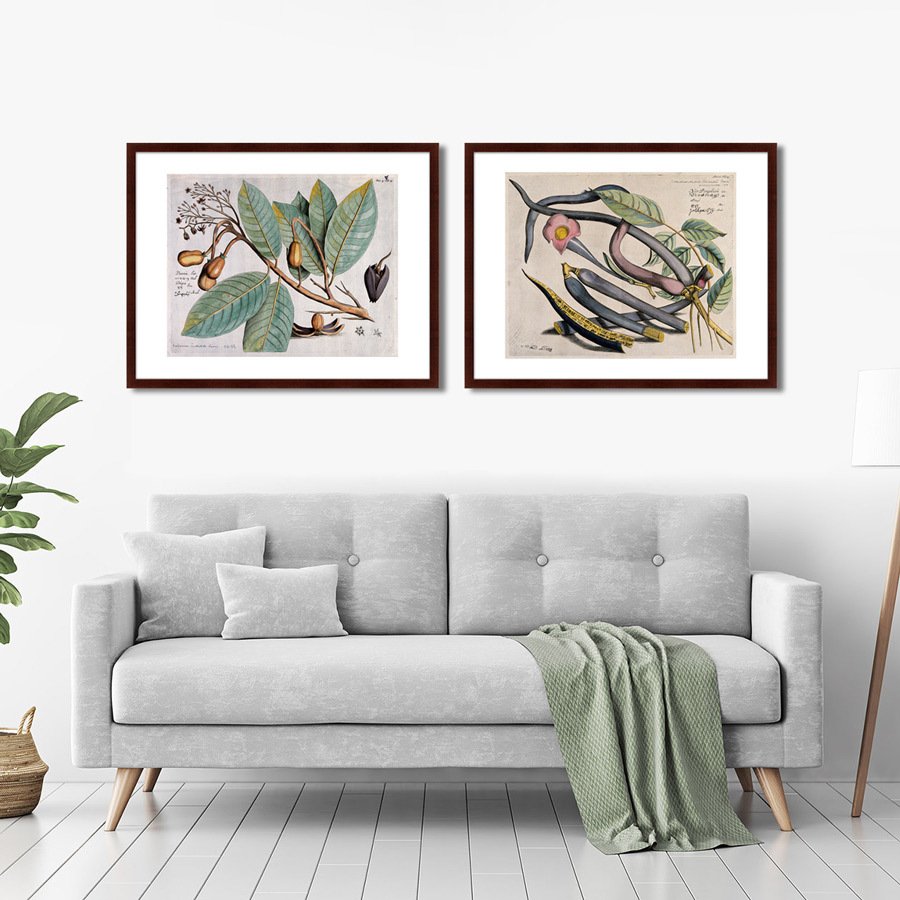 Картина: Exotic plants of the world №5, 1815г. КАРТИНЫ В КВАРТИРУ  264358 Разноцветный  - Вид №2