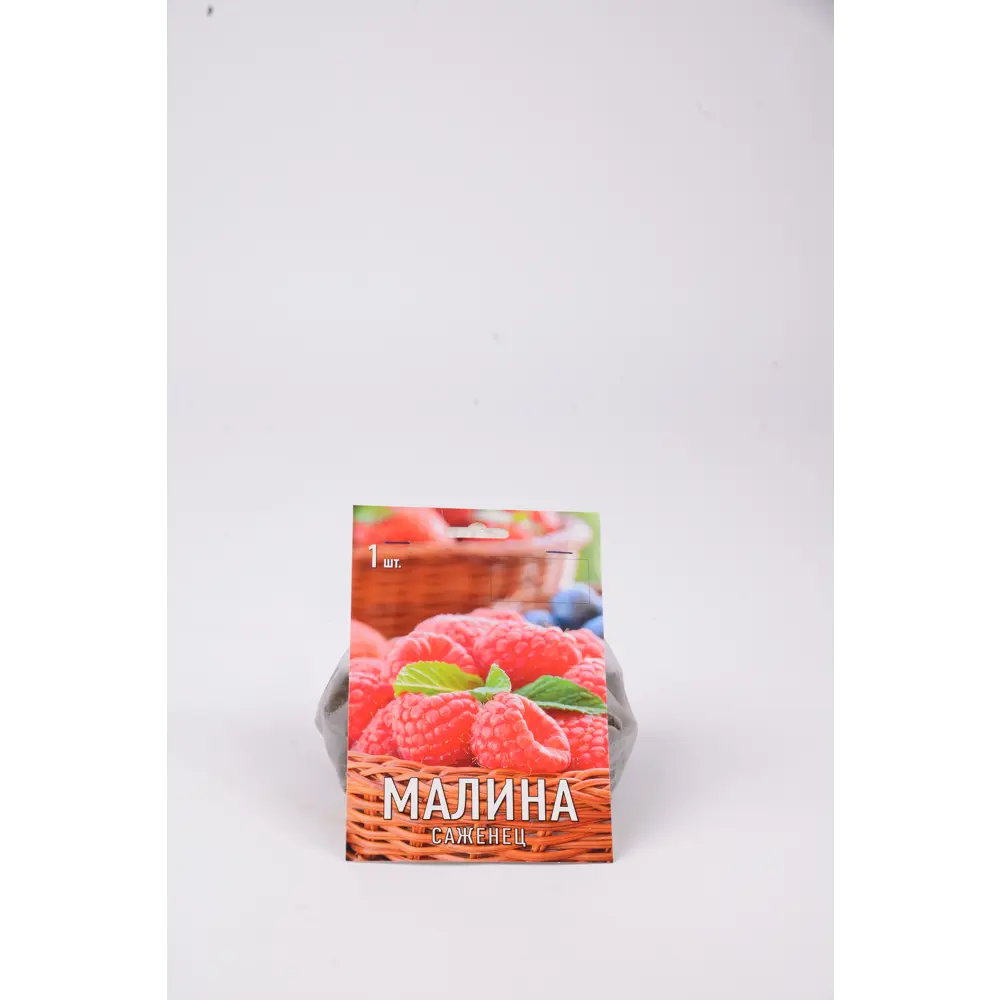 Малина Элегантная h17 см 83791399 STLM-2144606 Santreyd 