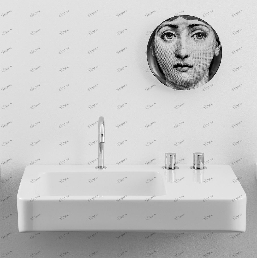 45710 Подвесная раковина настенная овальная Rapsel  белая 