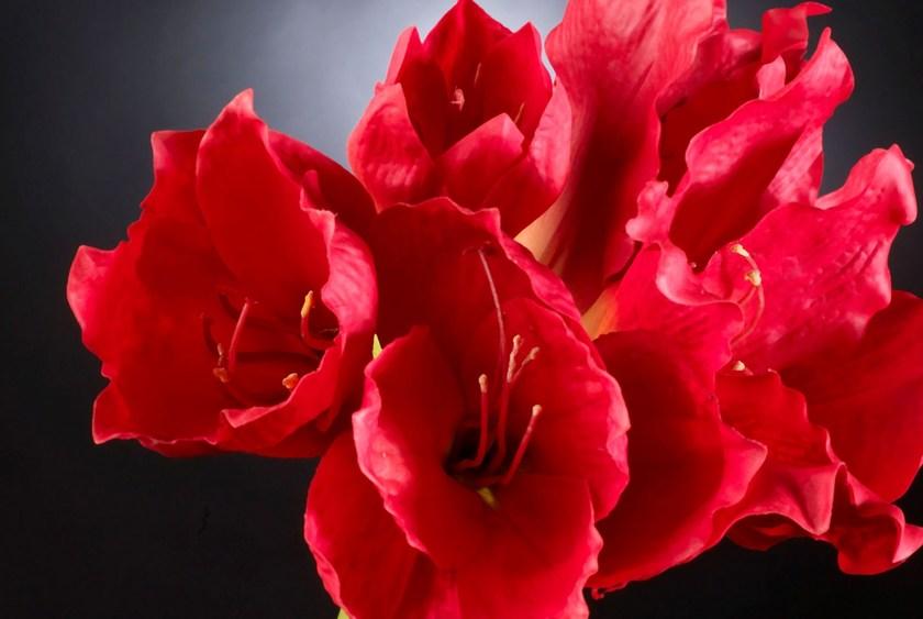 VGnewtrend Искусственное растение из полиэстера  1001597.30  - Вид №1