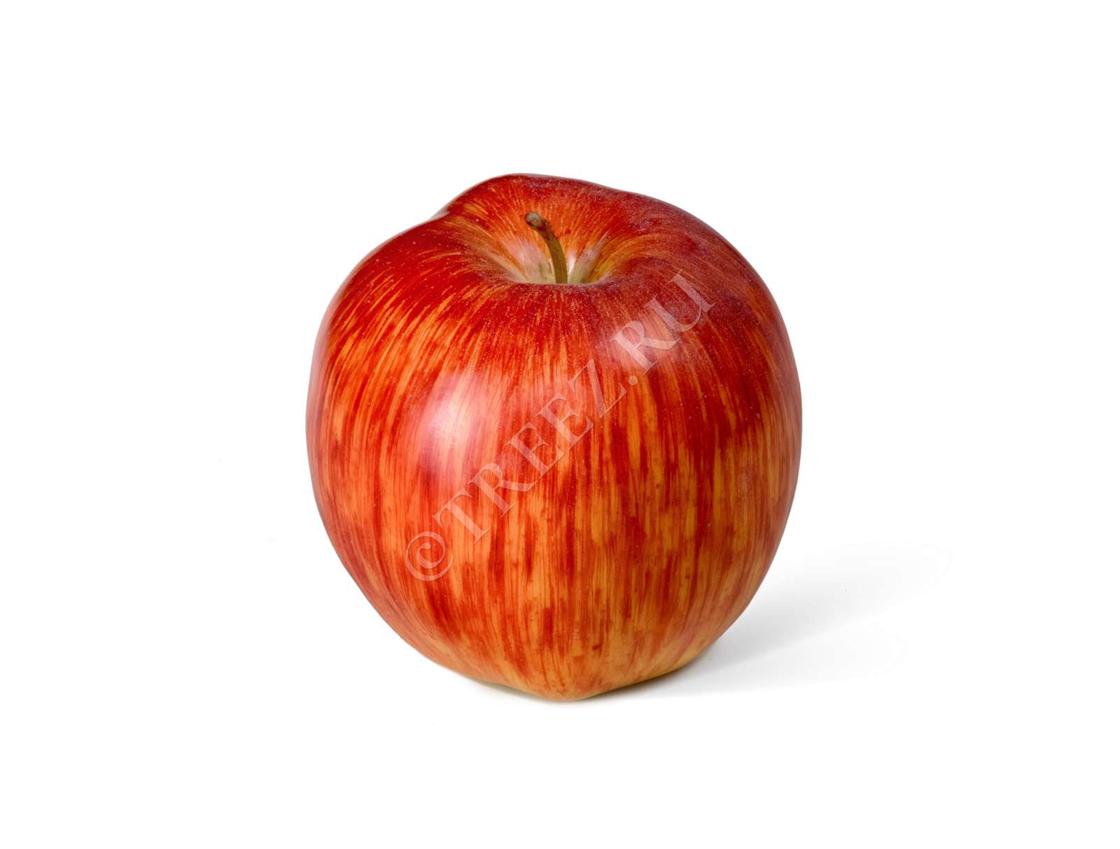 30.03070059 Яблоко красно-жёлтое Цветочная коллекция 