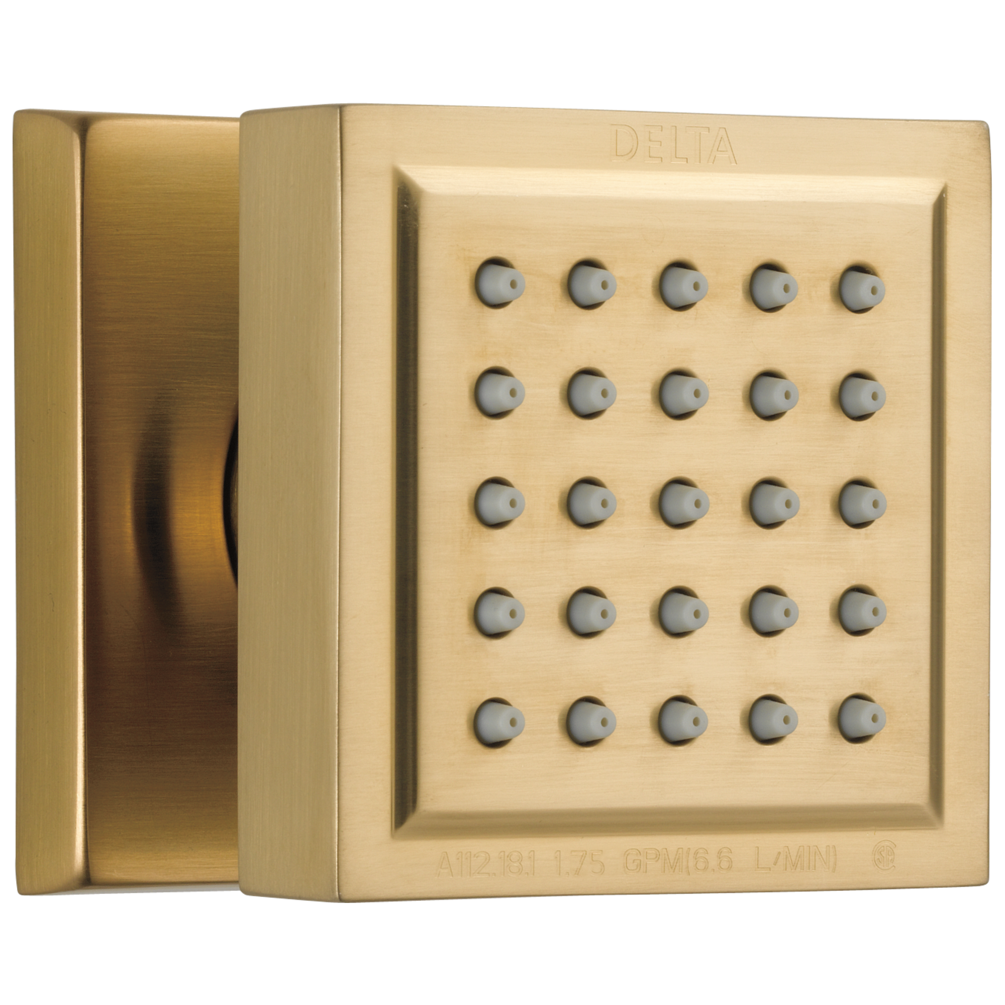 50150-BL Спрей для тела для поверхностного монтажа Delta Faucet Delta Матовый черный