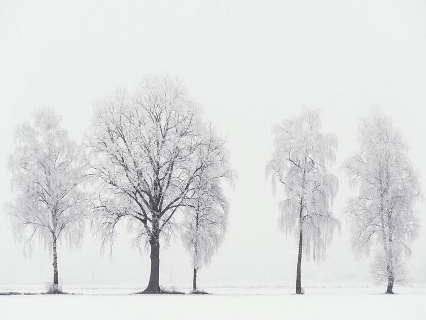 Architects Paper Обои с цифровой печатью Ap digital iv 109260 - Вид №1