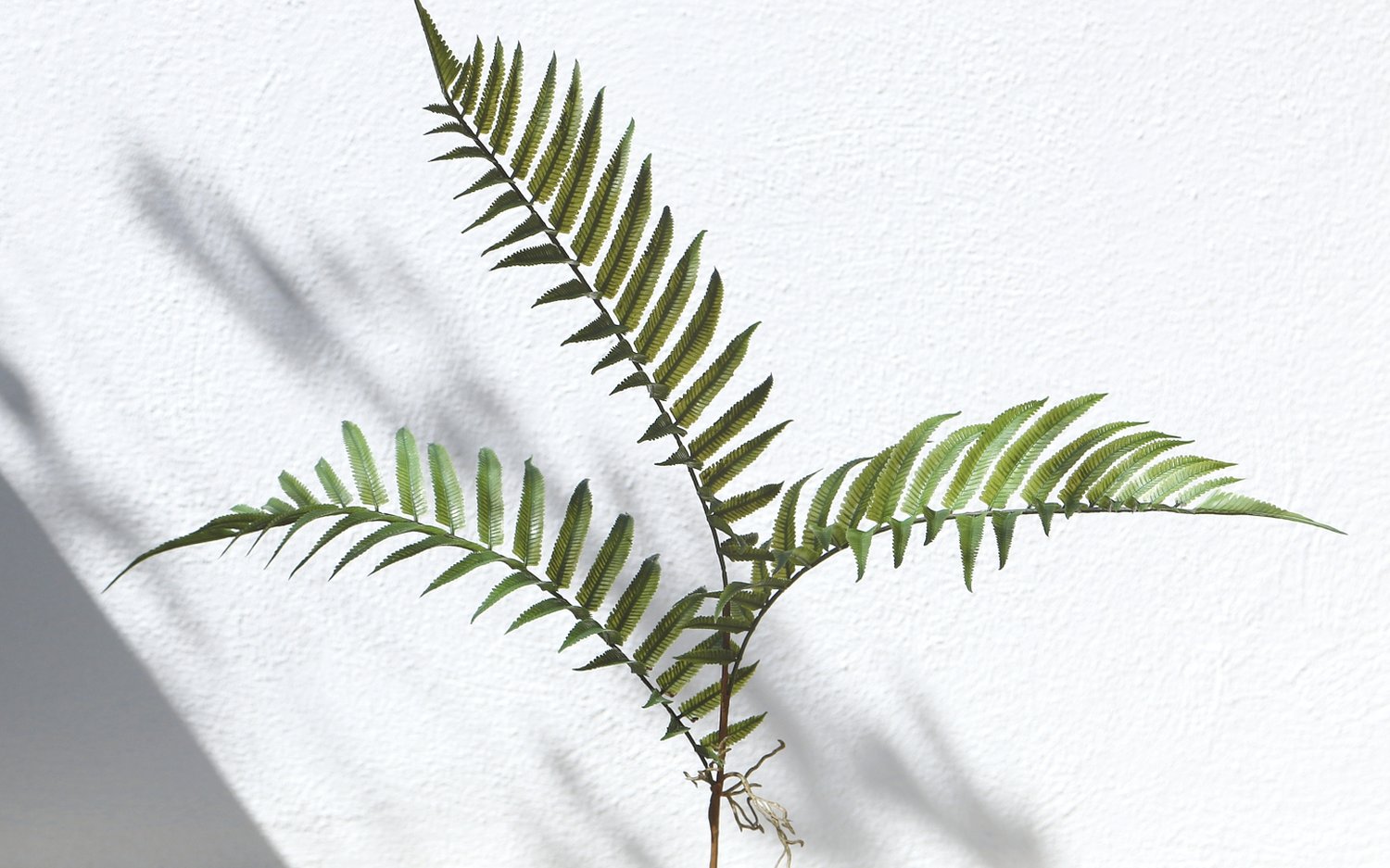 4916 883 a3 Стебель искусственного папоротника, 74 см, зеленый H-andreas  - Вид №2