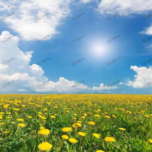 WP02368 Фотообои Verol Фотообои decoline 1х1 м