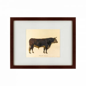Картина: The bull, 1797 КАРТИНЫ В КВАРТИРУ  135670 Разноцветный
