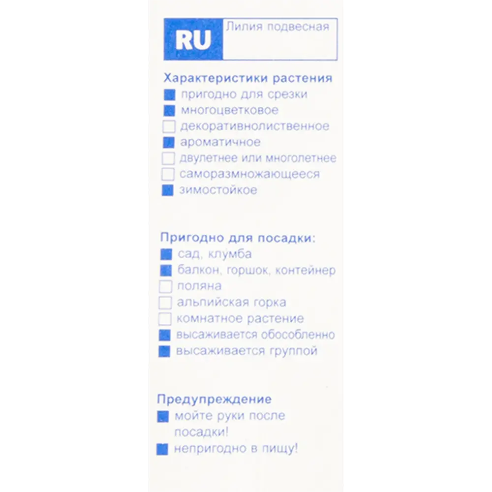 Лилия «Корсаж» 82351126 STLM-2059590 Santreyd  - Вид №2