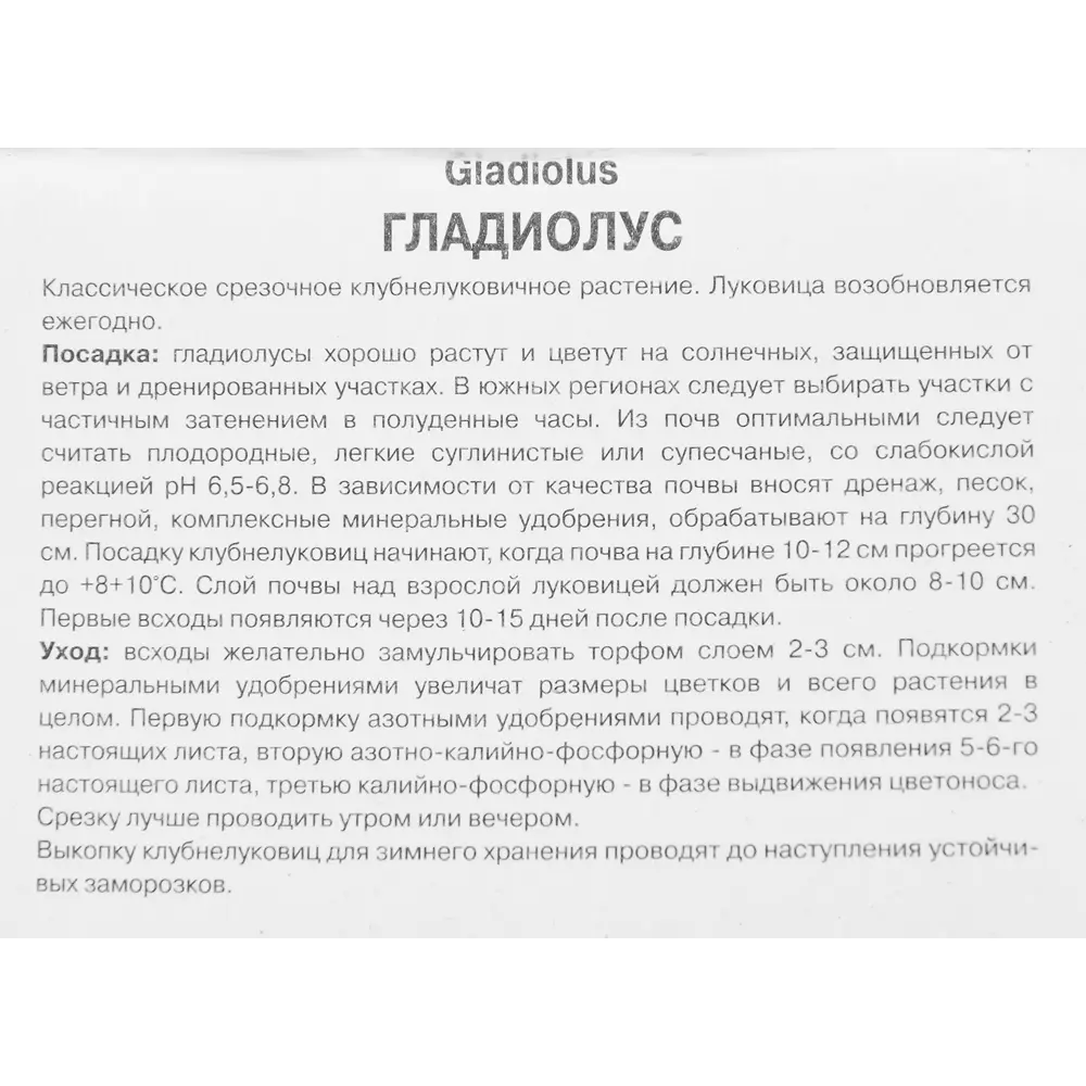 Гладиолус крупноцветковый Якутск, 5 шт ПОИСК STLM-2194843 - Вид №2