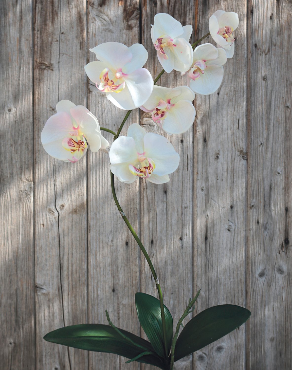 2526 755 a2 Искусственная орхидея Phalaenopsis, 73 см, real touch, бежево-розовая H-andreas 