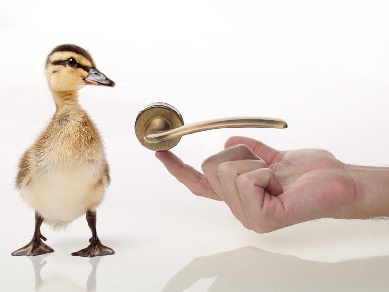 Металлическая ручка в классическом стиле на розетке с насадкой LINEA CALI' перо ARCH-00111849 - Вид №1