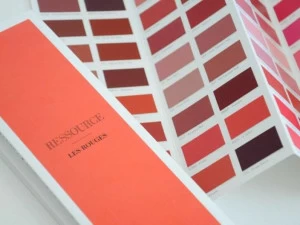 Ressource Декоративная акриловая краска Les rouges