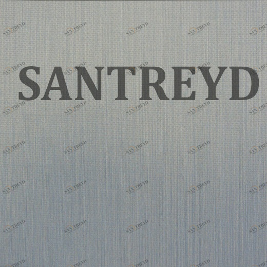 78762 Обои Rasch Selected