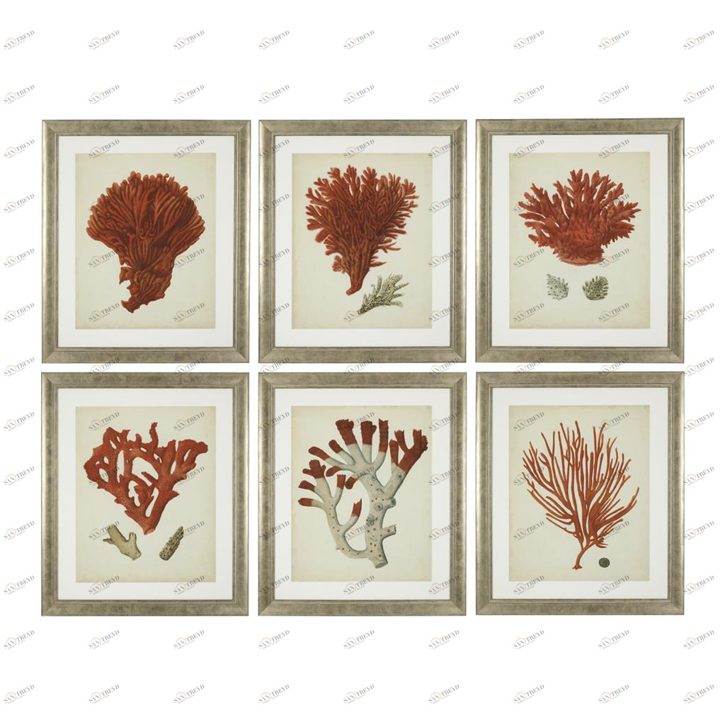 Постер на стену красный 6 штук Antique Red Corals 111741 EICHHOLTZ ДИЗАЙНЕРСКИЕ 00-3879168 Красный 