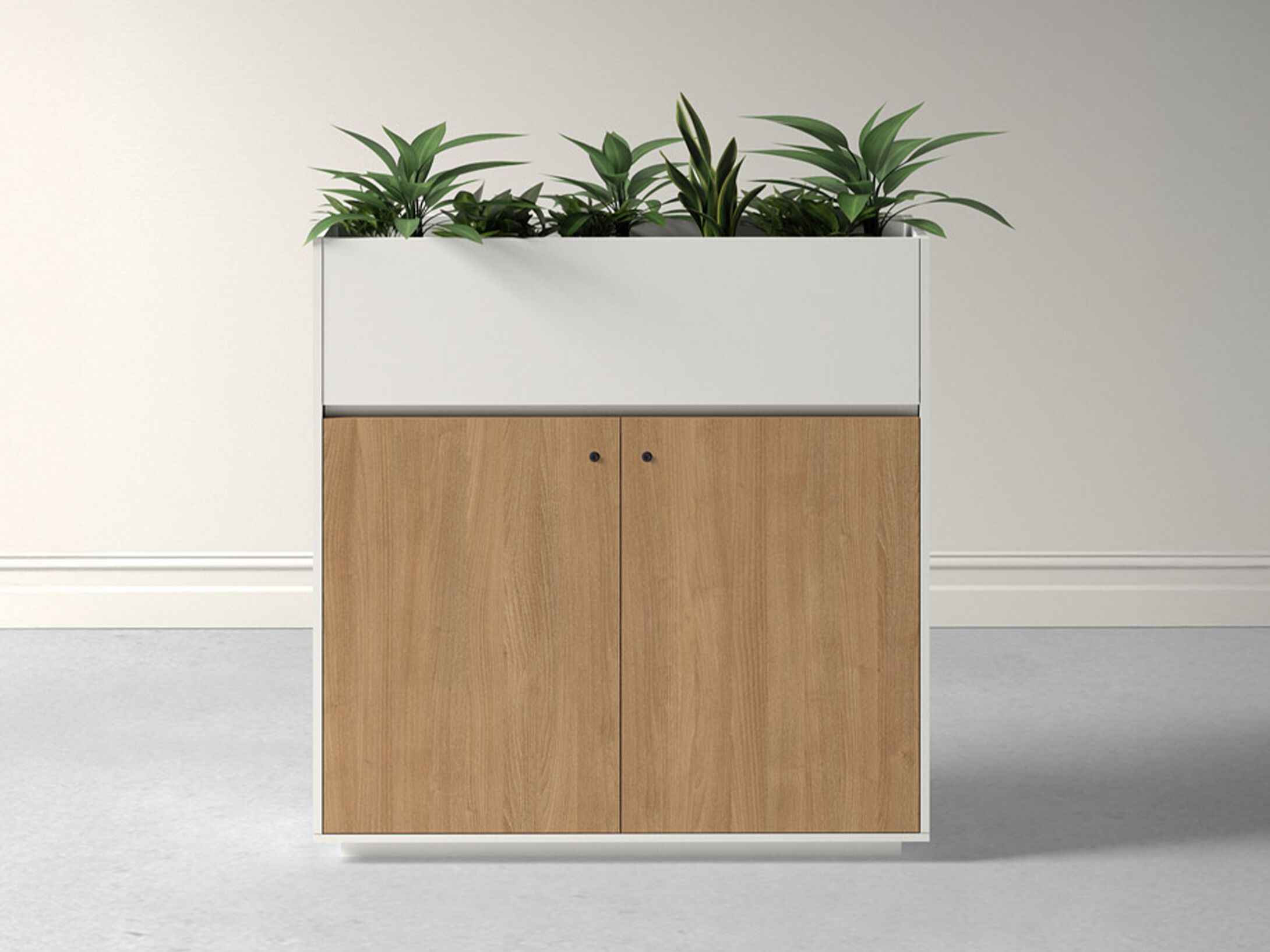 Деревянный плантатор / офисный шкаф WORKSPACE ECO ARCH-00025969