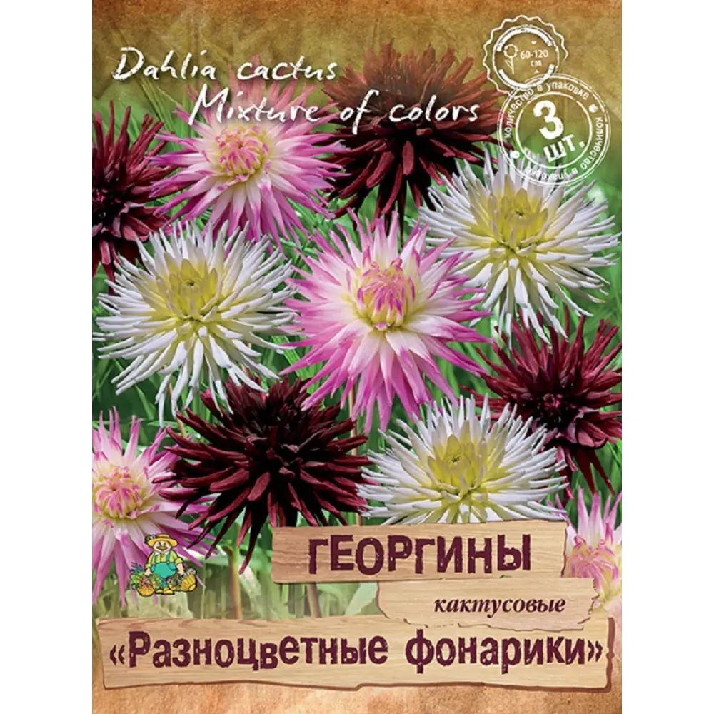 Георгины кактусовые Разноцветные фонарики микс, 3 шт ПОИСК STLM-2087102 - Вид №1