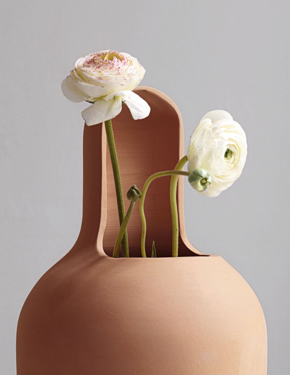 Низкий терракотовый садовый горшок BD Barcelona GARDENIAS N.2 ARCH-00042264 - Вид №10