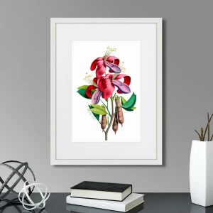 Картина: Caribian Flora Pink And Purple Flower, 1740г. КАРТИНЫ В КВАРТИРУ  264452 Разноцветный