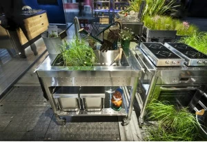 ALPES-INOX Газовая летняя кухня Liberi in cucina