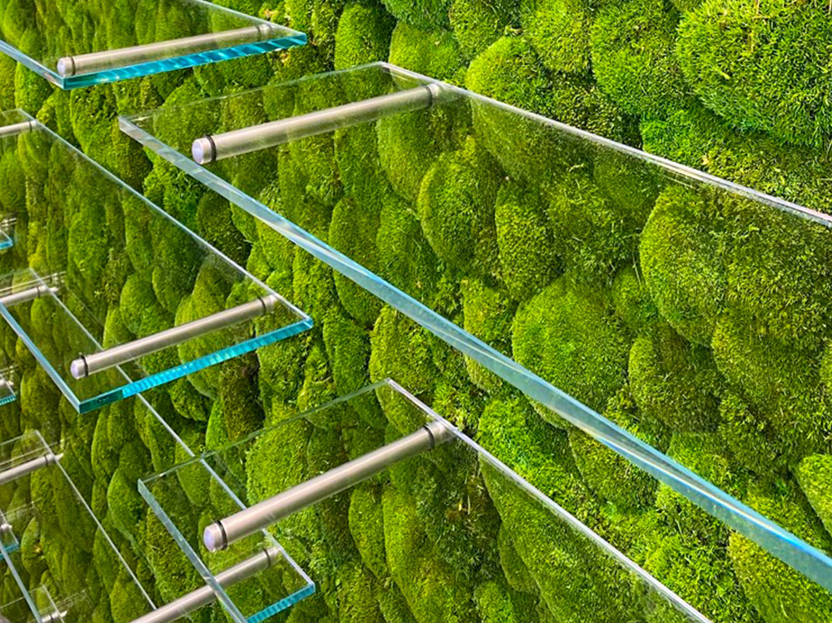 Растительная стена из мха Freund GmbH ARCH-00023492 - Вид №8