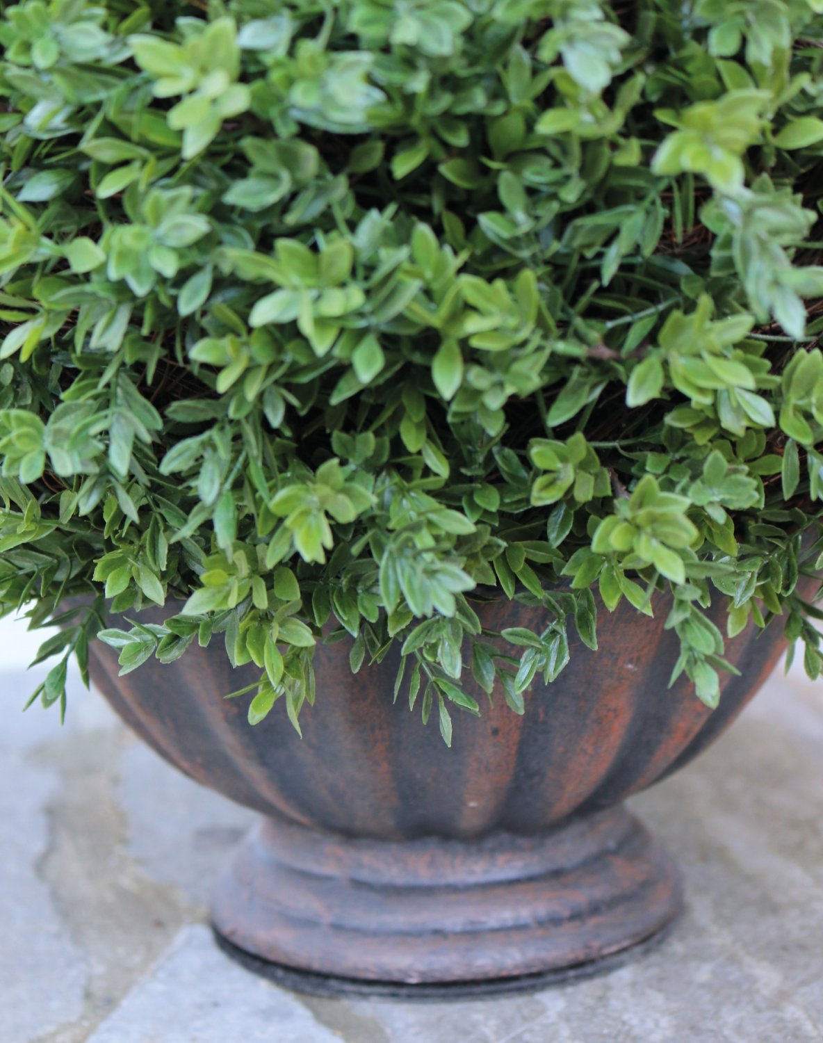 4979 883 a3 Мяч из искусственного самшита, синтетический материал, в горшке, 60 см, зеленый H-andreas  - Вид №6