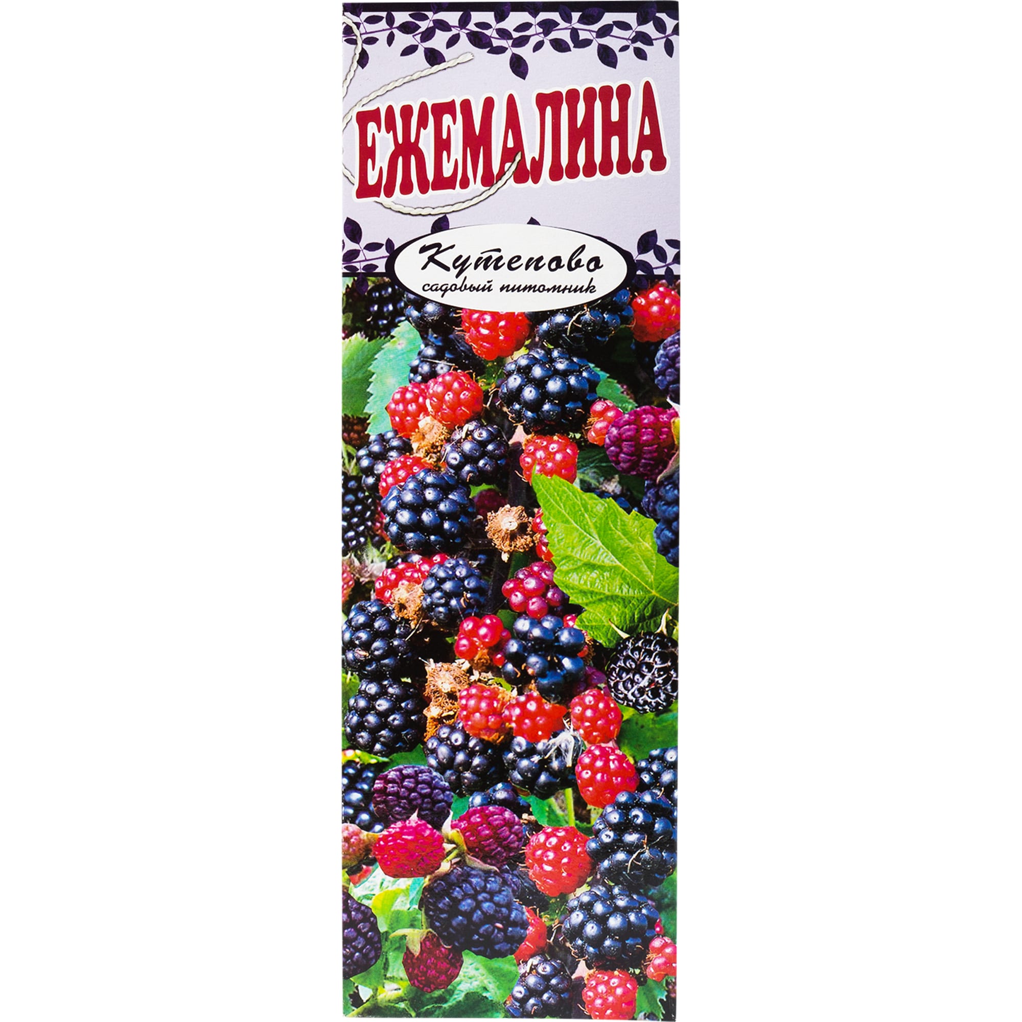 82155343 Ежемалина «Логанберри» в коробке Santreyd 