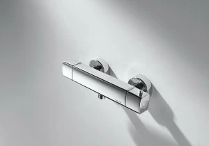 Смеситель термостатический для душа RAEL F999153C-01 bravat