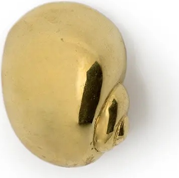 OC2001 Natica PULLCAST Ocean Collection  - Вид №2