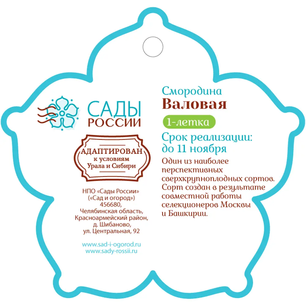 Смородина «Валовая» 1 год 12.5x30-50 см 82610458 STLM-2063881 Santreyd  - Вид №1