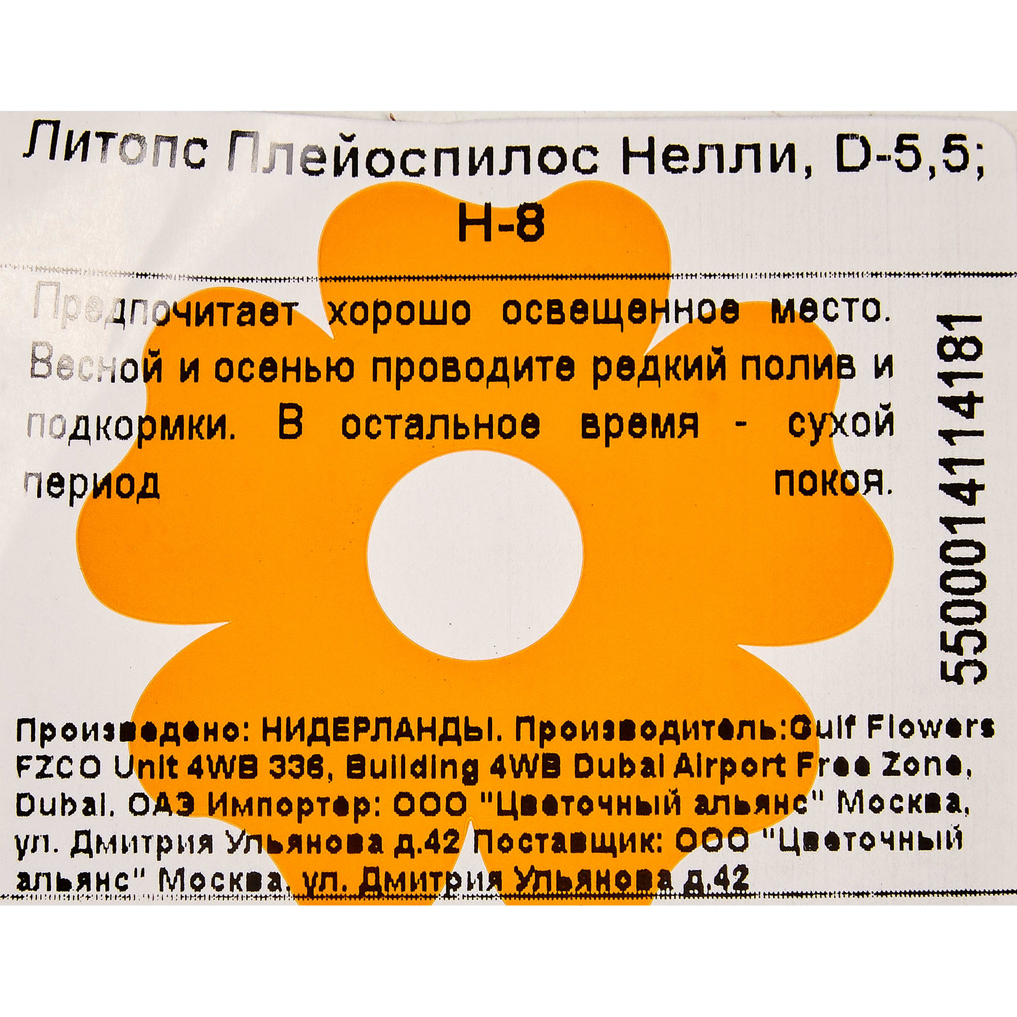 82877380 Литопс Плейоспилос Нелли 5.5x8 см Santreyd  - Вид №2