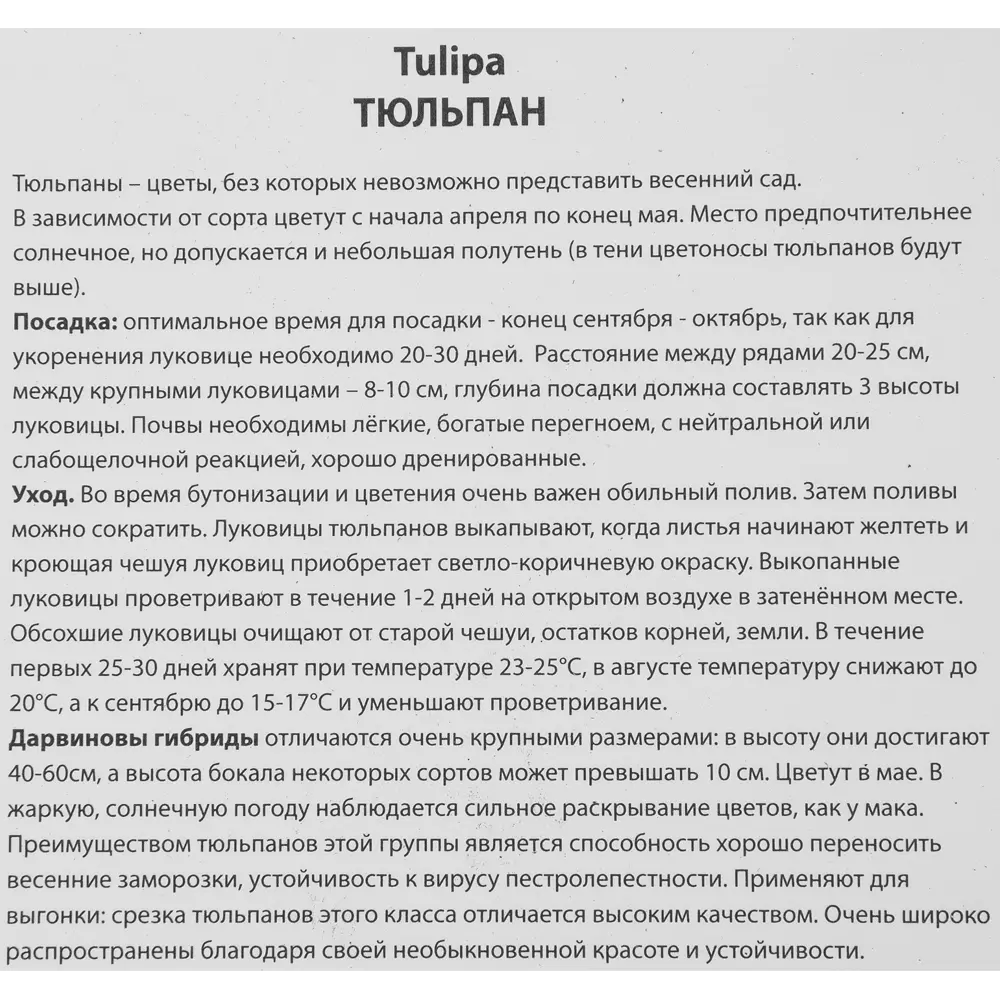 Тюльпан Дарвинов гибрид Оксфорд, 10 шт 85205571 STLM-2145117 ПОИСК  - Вид №2