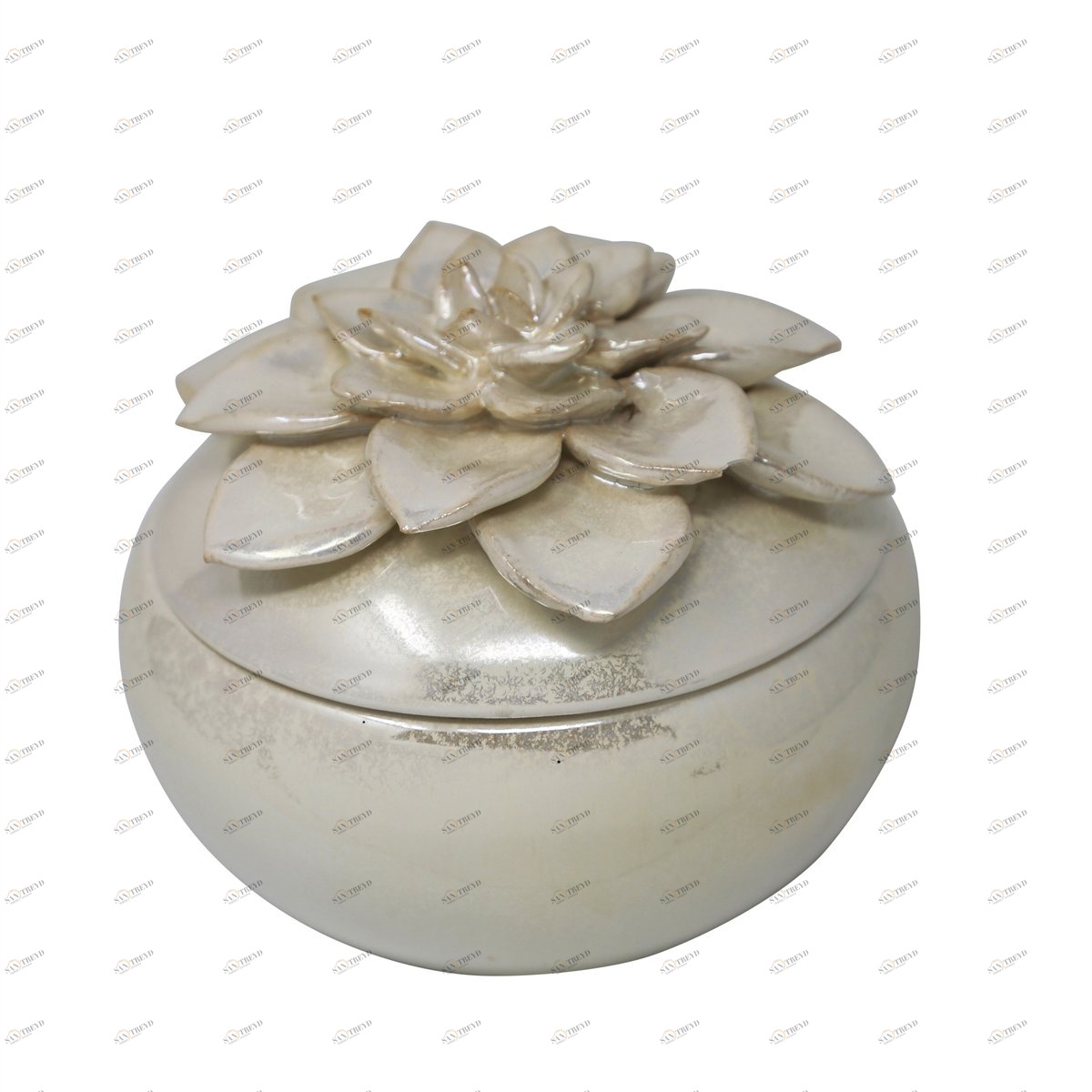 Шкатулка Orha BUREAU  263013 Перламутр 