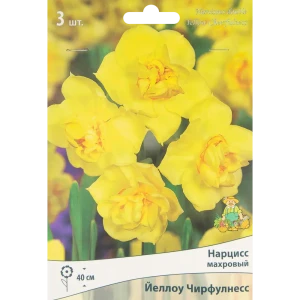 ПОИСК Нарцисс махровый Йеллоу Чирфулнесс - 3 луковицы для солнечного сада 85186018