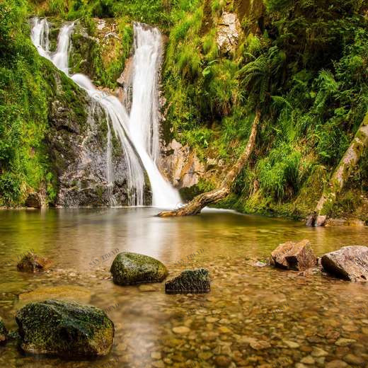 WP00778 Фотообои Verol Фотообои decoline 1х1 м