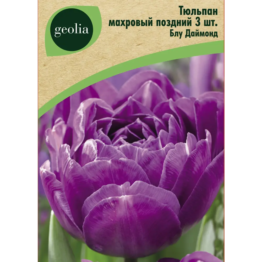 Тюльпан махровый поздний Блу Даймонд 3 шт GEOLIA STLM-2177255