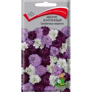 Семена цветов Поиск иберис зонтичный Ежевичные меренги 86217937 STLM-2200750