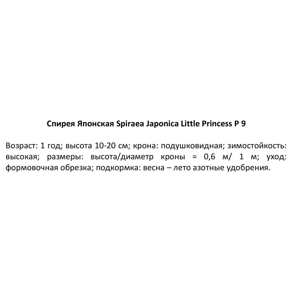 Спирея японская Литл Принцес ø9 h15 см 84829103 STLM-2102060 PLANTMARKET  - Вид №2