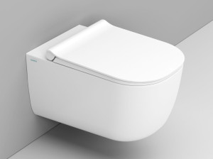 Керамический подвесной туалет без бриды