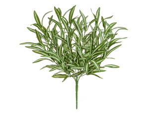 20.072130WGR Спайдер бело-зелёный куст большой (серия MDP) Цветочная коллекция