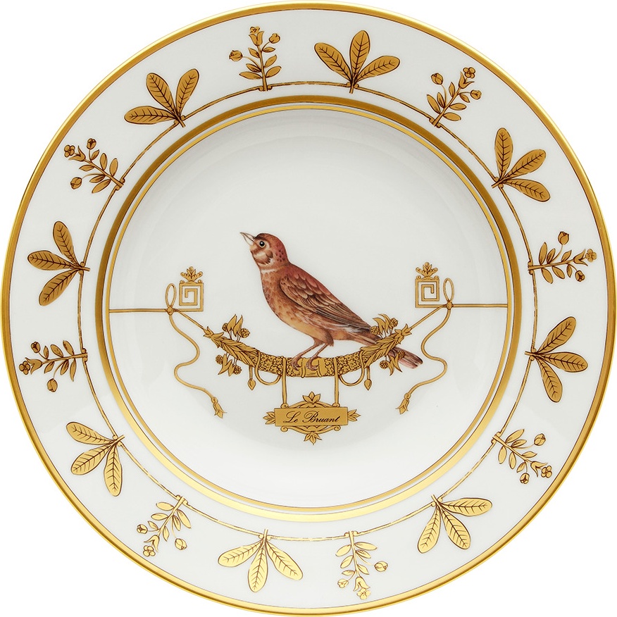 10647816 Richard Ginori Тарелка суповая 24.5 см Фарфор 