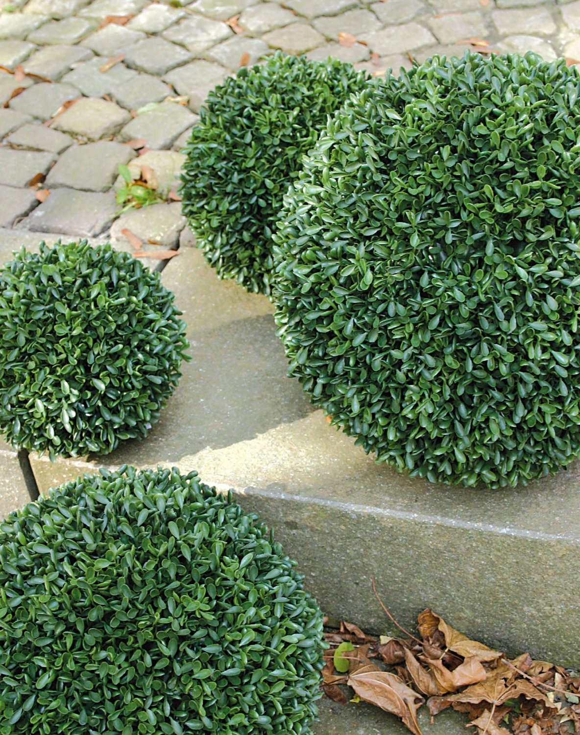 4875 883 a3 Искусственный шар самшит, синтетический материал, Ø 18 см, зеленый H-andreas 