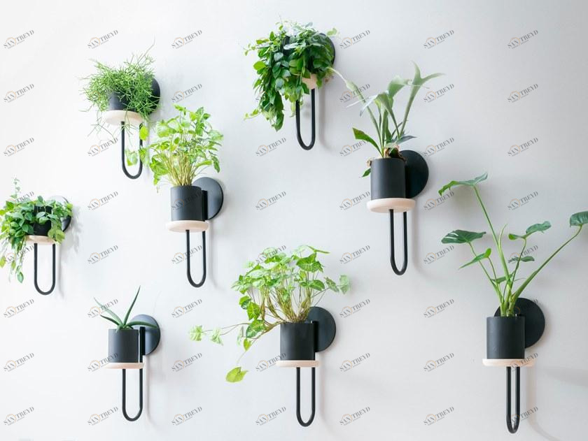 Miniforms Настенный горшок для цветов Cigales sun-id-1416220