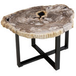 FUBR040 Приставной столик из окаменелого дерева ijlbrown  - Вид №2