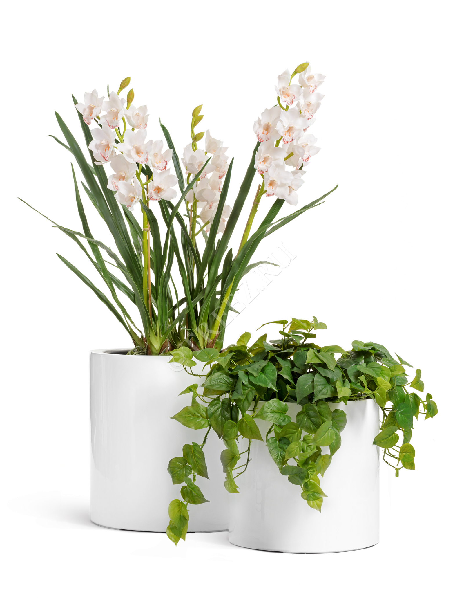 41.3320-05-038-WH-31 Кашпо  Effectory - серия Gloss - Цилиндр - Белый глянцевый лак Цветочная коллекция  - Вид №4