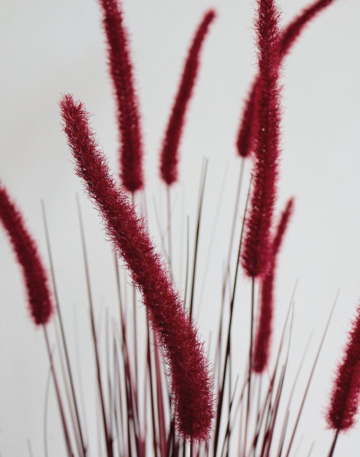 4869 498 a3 Искусственный пучок травы 'Chinese fountain grass' в горшке, 120 см, бордово-зеленый H-andreas  - Вид №11