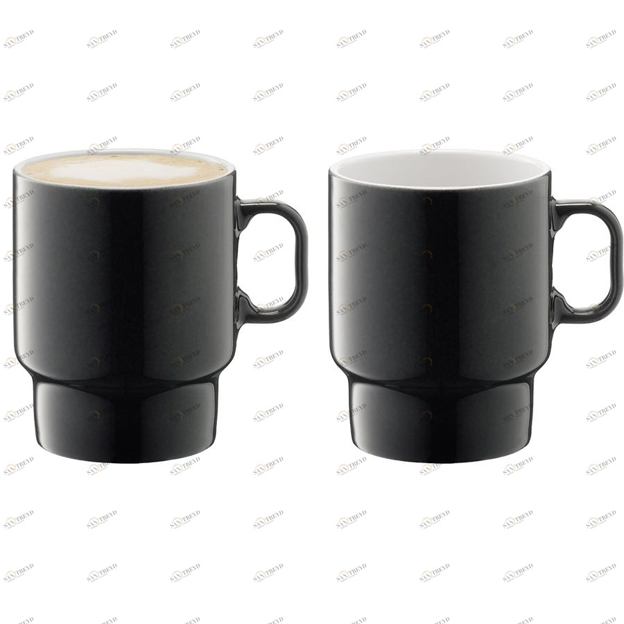 Набор из 2 чашек для капучино Utility 380 мл серый LSA International P27614523